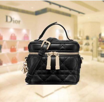 【大人気3色】日本未入荷　マイクロ　バニティ　バックLADY Dior